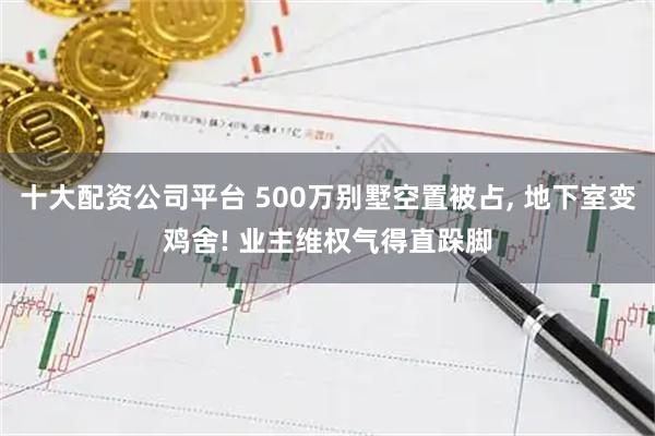 十大配资公司平台 500万别墅空置被占, 地下室变鸡舍! 业主维权气得直跺脚