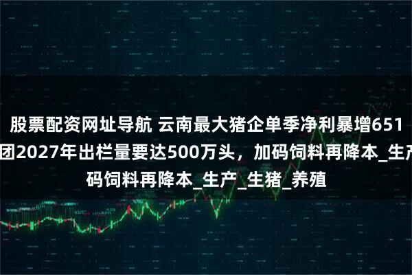 股票配资网址导航 云南最大猪企单季净利暴增6511%！神农集团2027年出栏量要达500万头，加码饲料再降本_生产_生猪_养殖