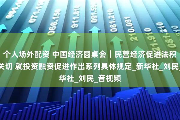 个人场外配资 中国经济圆桌会｜民营经济促进法积极回应关切 就投资融资促进作出系列具体规定_新华社_刘民_音视频