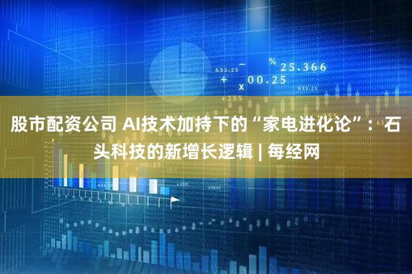 股市配资公司 AI技术加持下的“家电进化论”：石头科技的新增长逻辑 | 每经网
